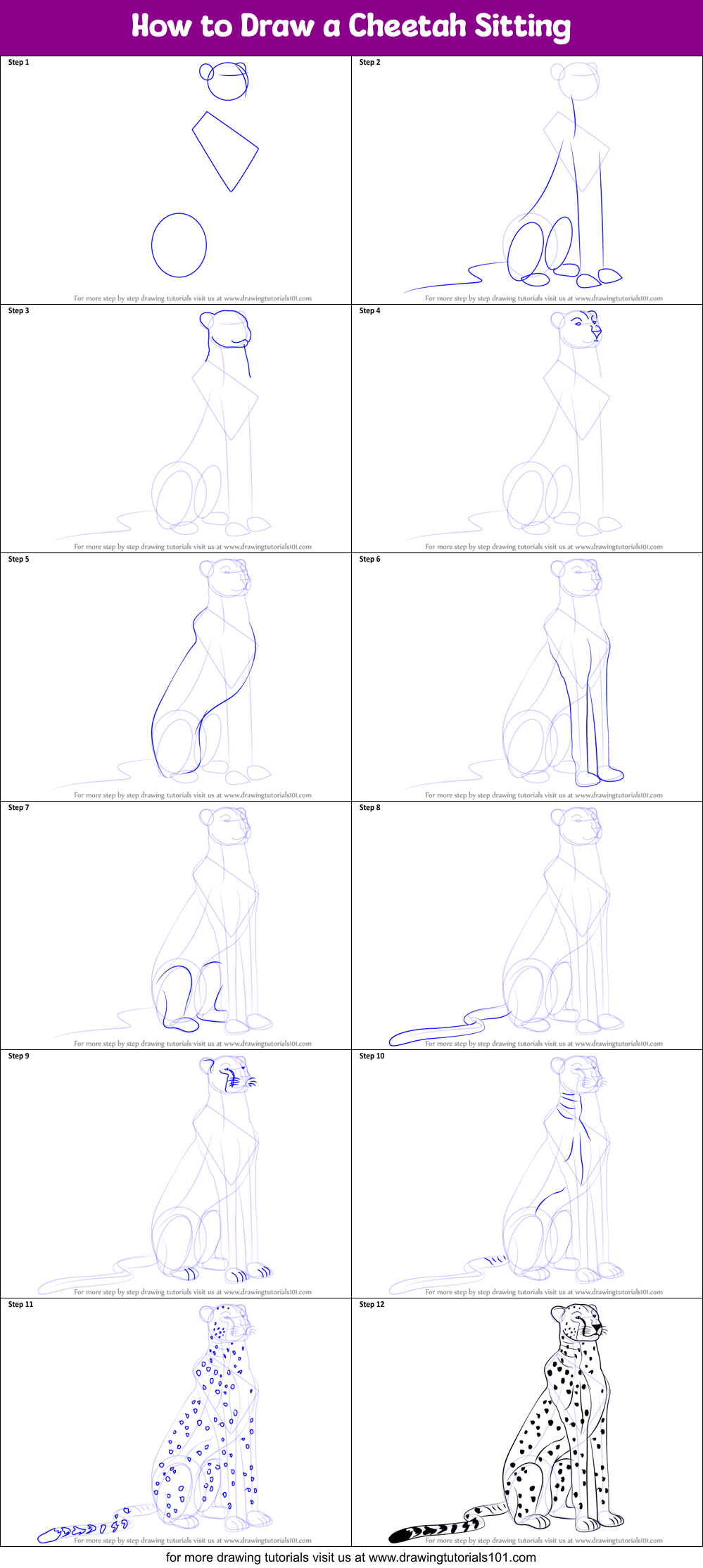 How to Draw a Cheetah Sitting printable step by step