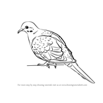 How to Draw a Rain Dove