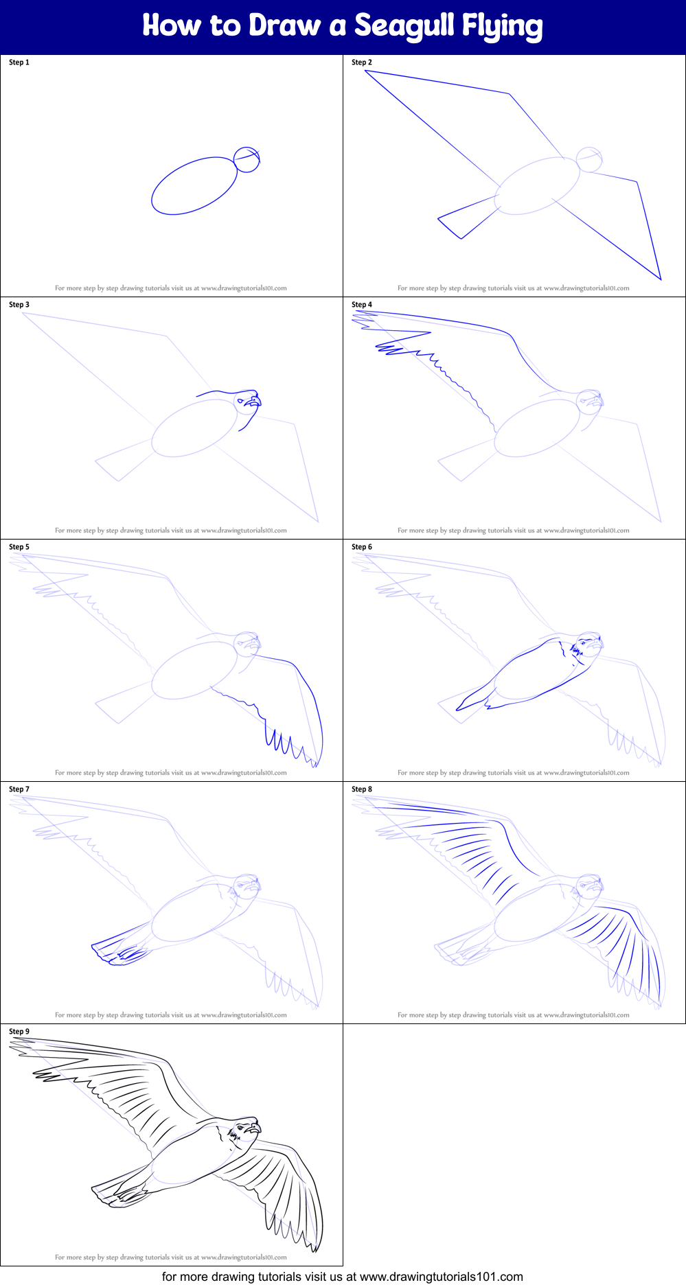 How to Draw a Seagull Flying printable step by step