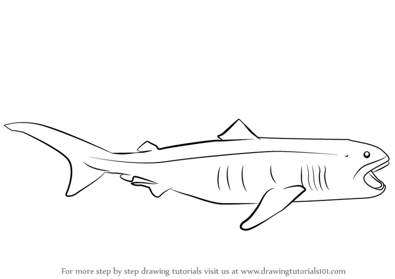ocean shark coloring pages - photo #31