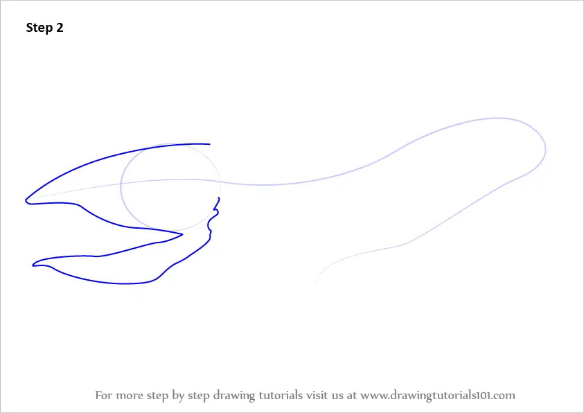 how to draw Gulper Eel step 2