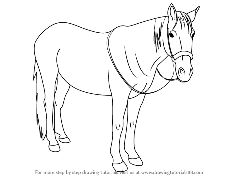 Learn How to Draw Standing Horse (Horses) Step by Step