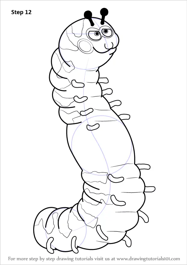 Learn How To Draw A Cartoon Caterpillar Insects Step By Step