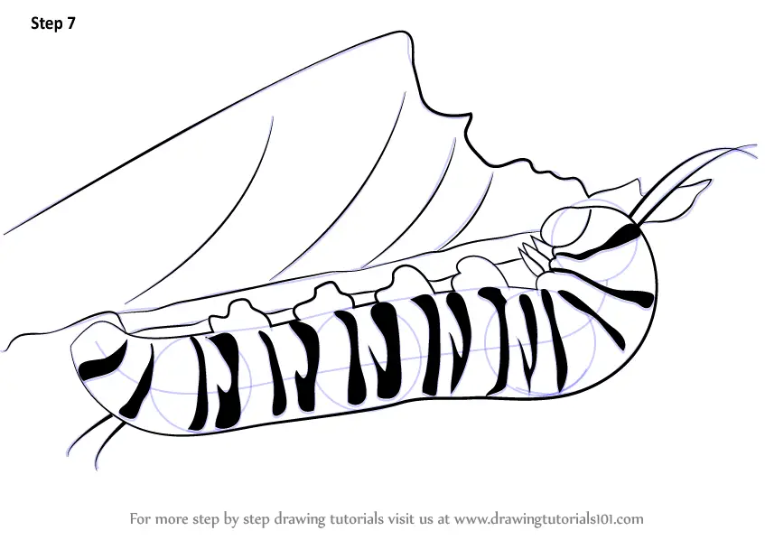 How To Draw A Caterpillar Realistic Howto Diy Today