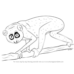 How to Draw a Slender Loris
