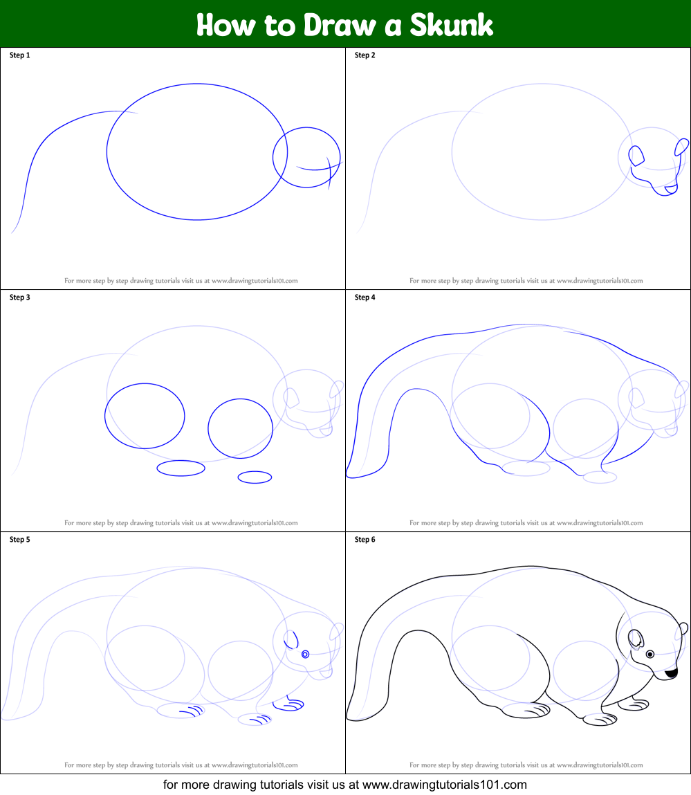 How to Draw a Skunk printable step by step drawing sheet