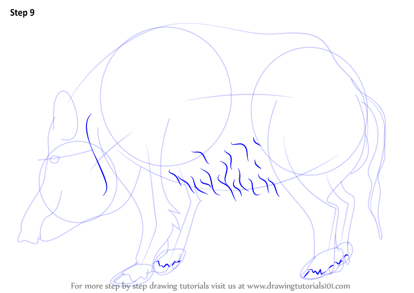 Learn How to Draw a Wild Boar (Wild Animals) Step by Step : Drawing