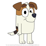 How to Draw Jack Russell from Bluey