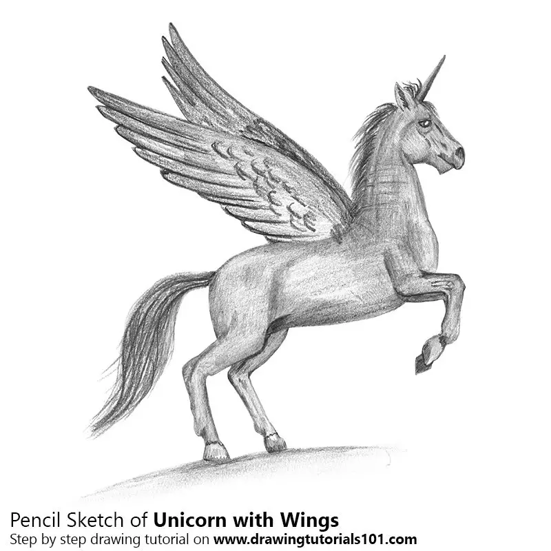 Unicorn with Wings Pencil Drawing - How to Sketch Unicorn ...