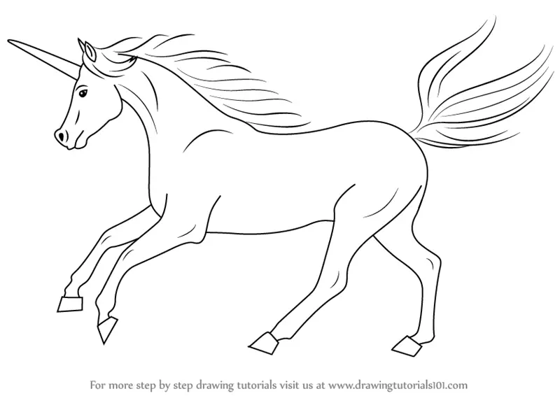unicorn draw step drawing unicorns creatures learn tutorials drawingtutorials101 tutorial