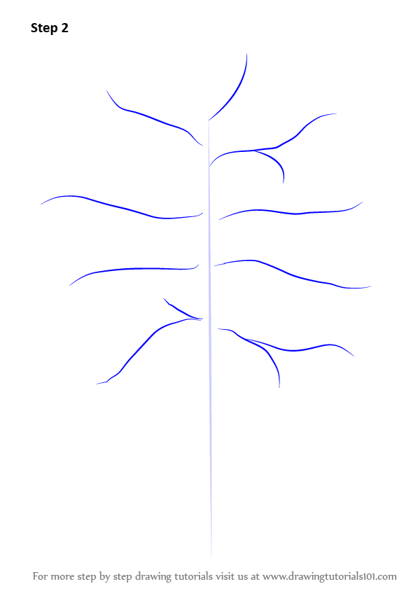 Learn How to Draw an Apple Tree (Trees) Step by Step Drawing Tutorials