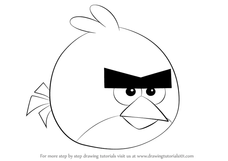 angry birds draw drawing step