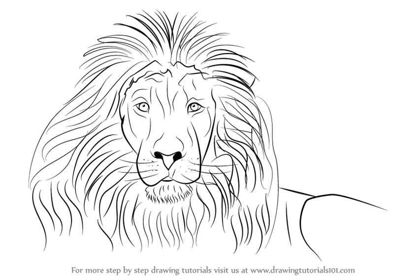 How do you draw a lion?