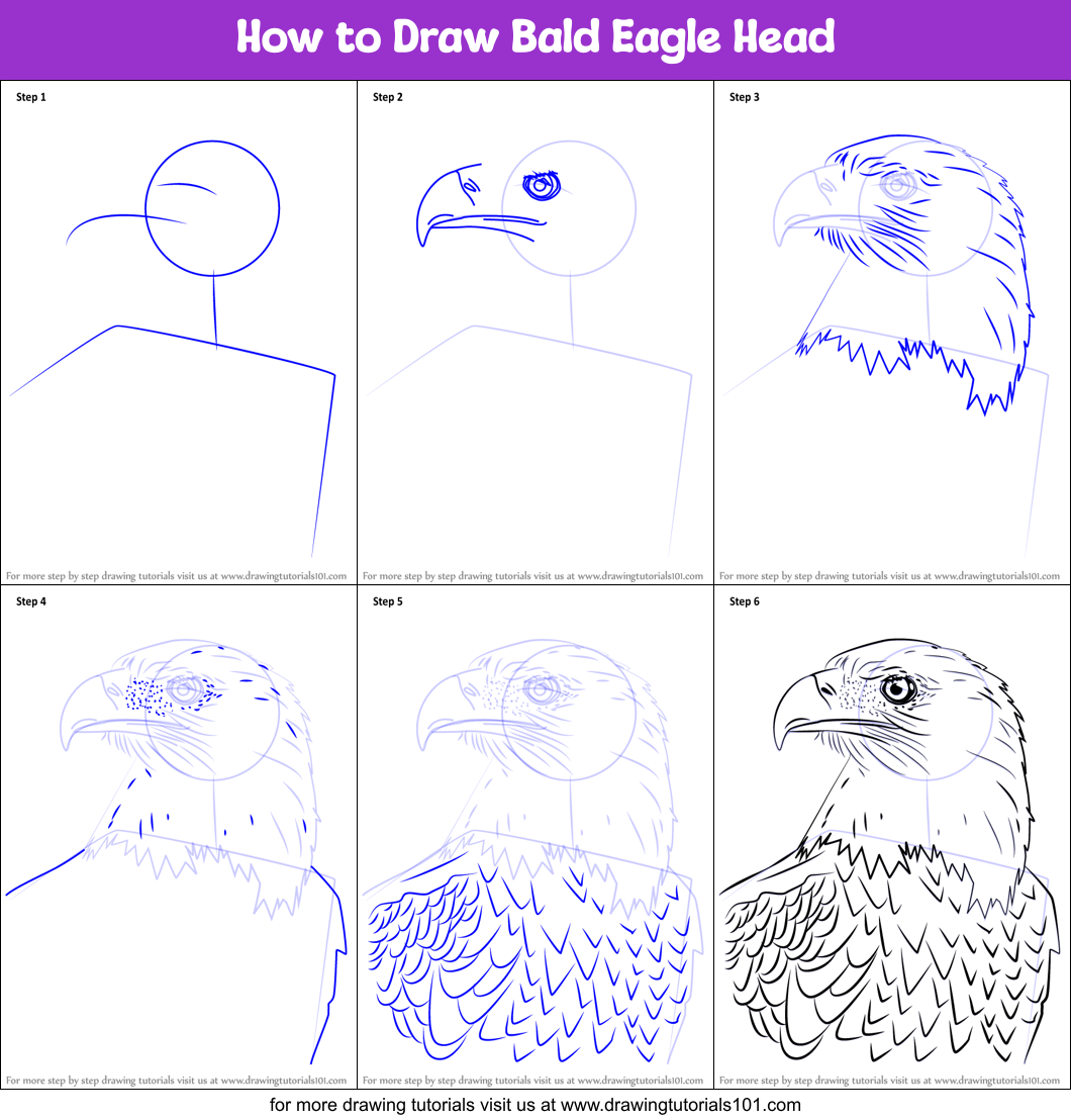 How To Draw An Eagle | How to draw a Eagle easy step by step - YouTube