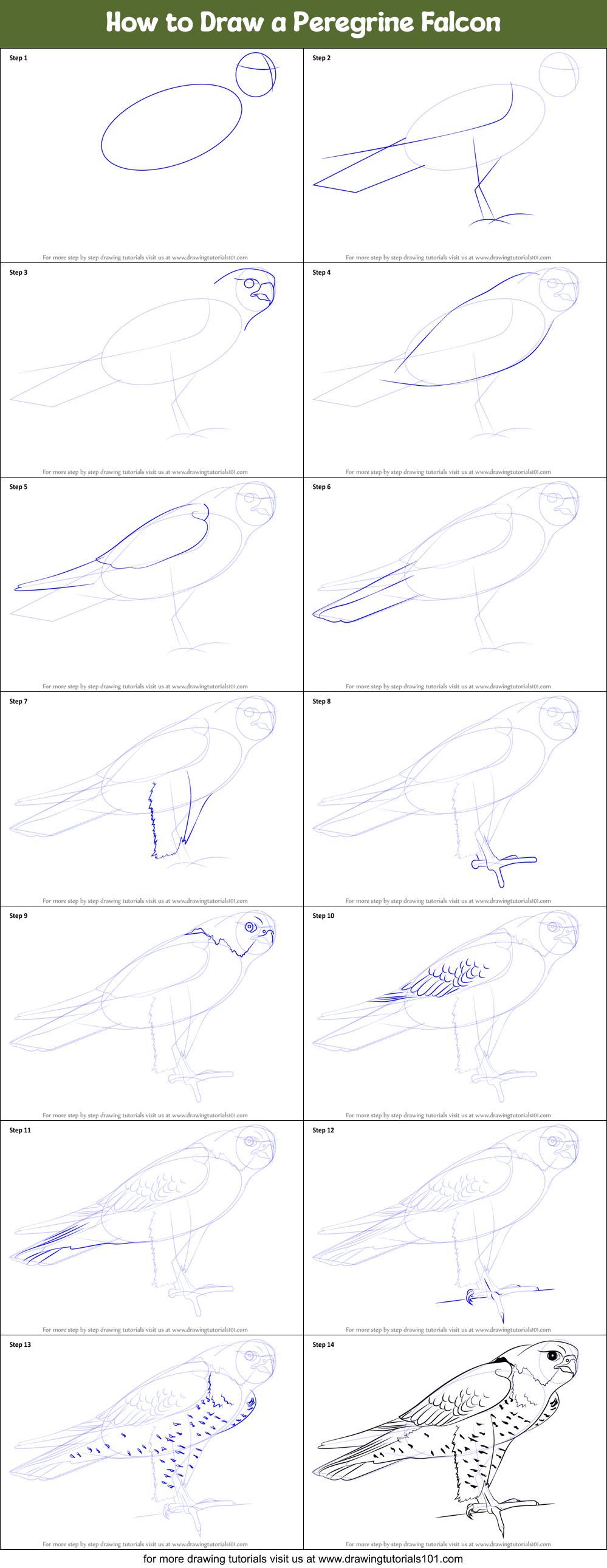 Featured image of post How To Draw A Falcon Head When drawing the head i ll start with a ball and draw an oval to indicate the flat side plane