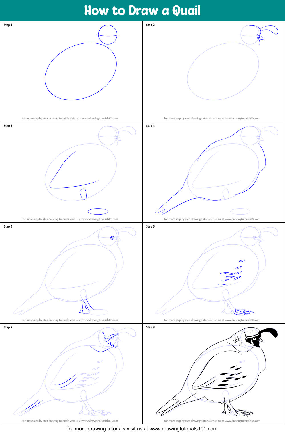 Featured image of post How To Draw A Quail Easy Learn how to draw a realistic face