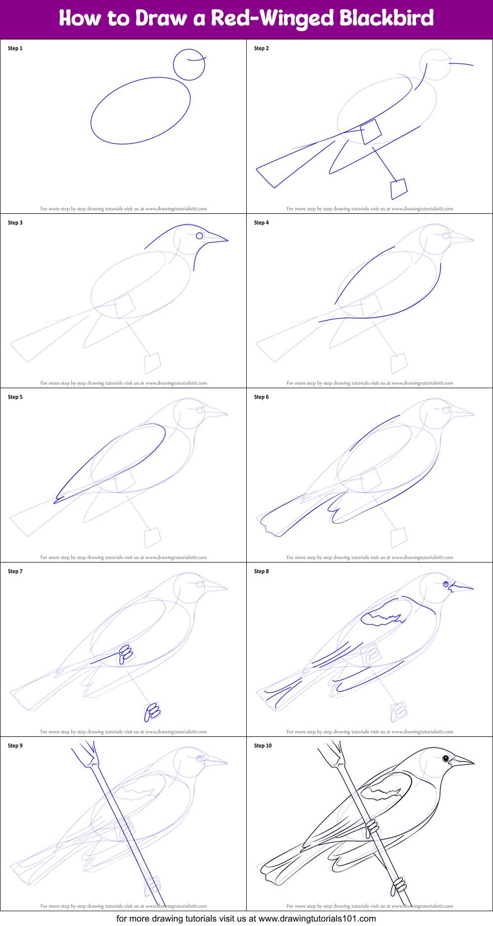 Featured image of post How To Draw A Blackbird Step By Step How you can draw with a pencil after 50 hours of practice and how to learn it