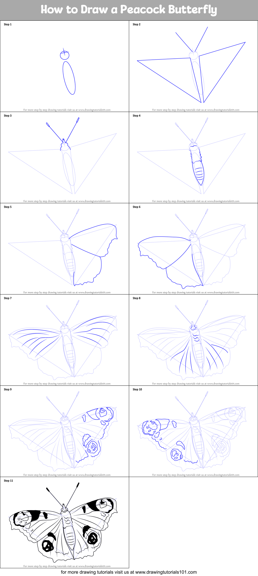 How To Draw A Peacock Butterfly Printable Step By Step Drawing Sheet Drawingtutorials101 Com This is also an easy step by step tutorial for beginners. draw a peacock butterfly printable step