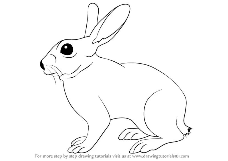 Learn How to Draw a Rabbit (Farm Animals) Step by Step : Drawing Tutorials