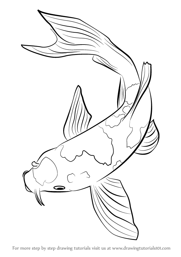 outline drawings of fish