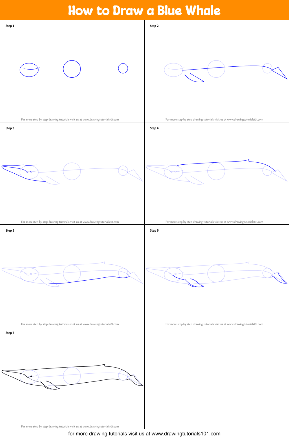 how to draw a whale step by step easy