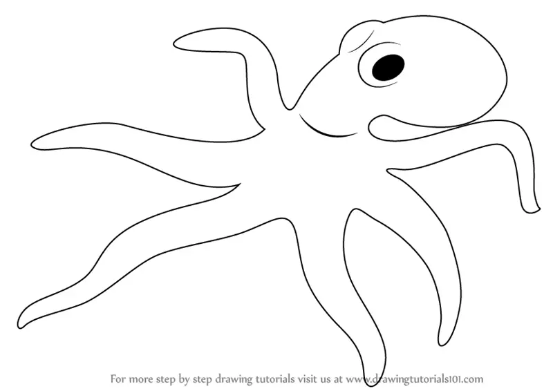 Learn How to Draw a Octopus (Sea Water Animals) Step by Step : Drawing  Tutorials