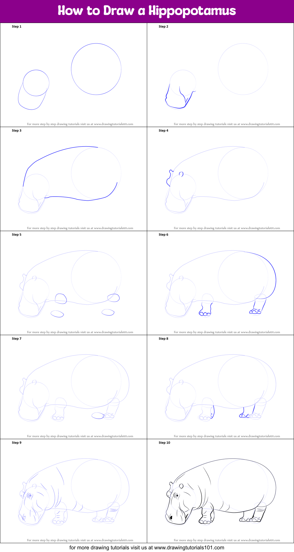How to Draw a Hippopotamus printable step by step drawing sheet :  
