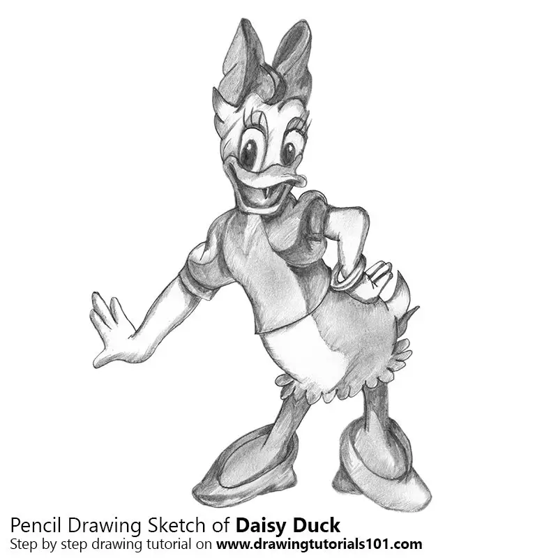 Daisy Duck Pencil Drawing - How to Sketch Daisy Duck using Pencils :  