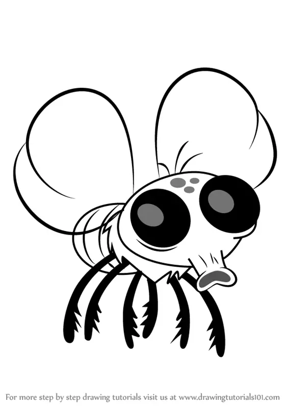 Step by Step How to Draw Fly from Looped : 
