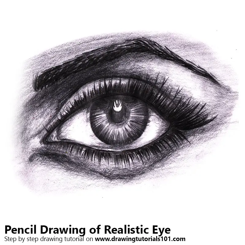 Realistic Pencil Sketch - Ordermysketch.com - Photo to Sketch online