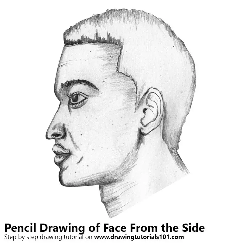 How to Draw a Face From the Side  Realistic Side Profile Drawing