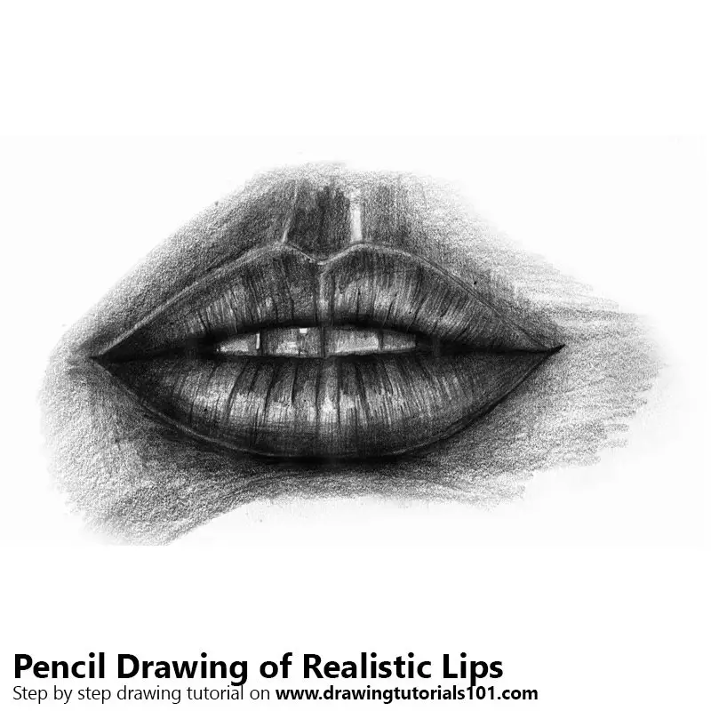 Pencil Lips Drawing