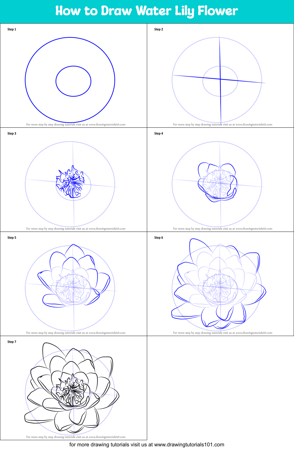 Featured image of post How To Draw A Lily Pad Step By Step Easy : The initial stage is easy but very important.
