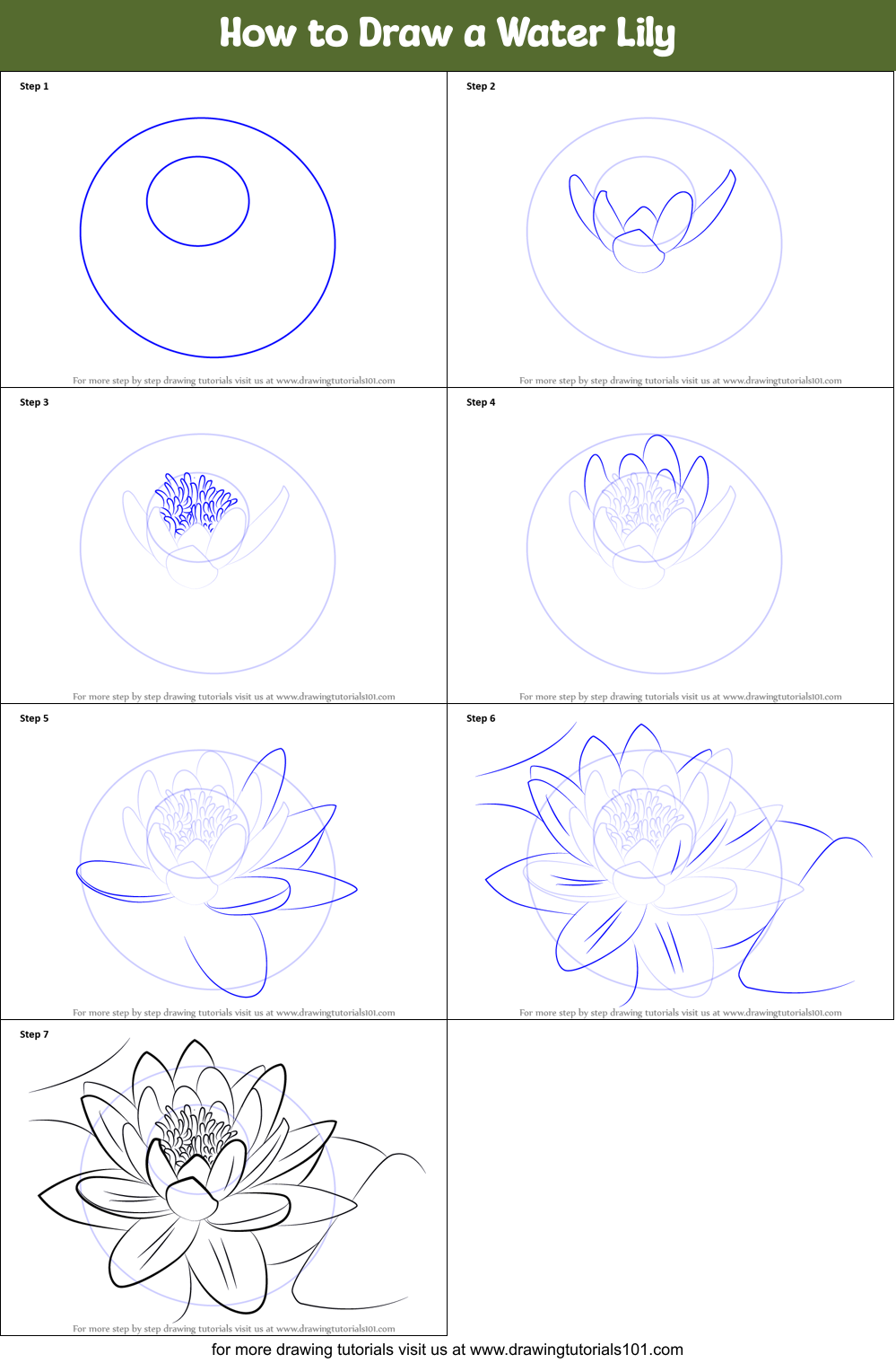 Free water lily - Vector Art