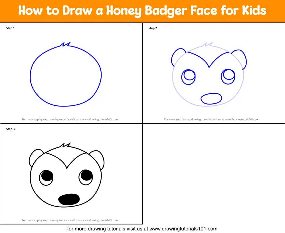 How to Draw a Honey Badger Face for Kids printable step by step drawing  sheet : 