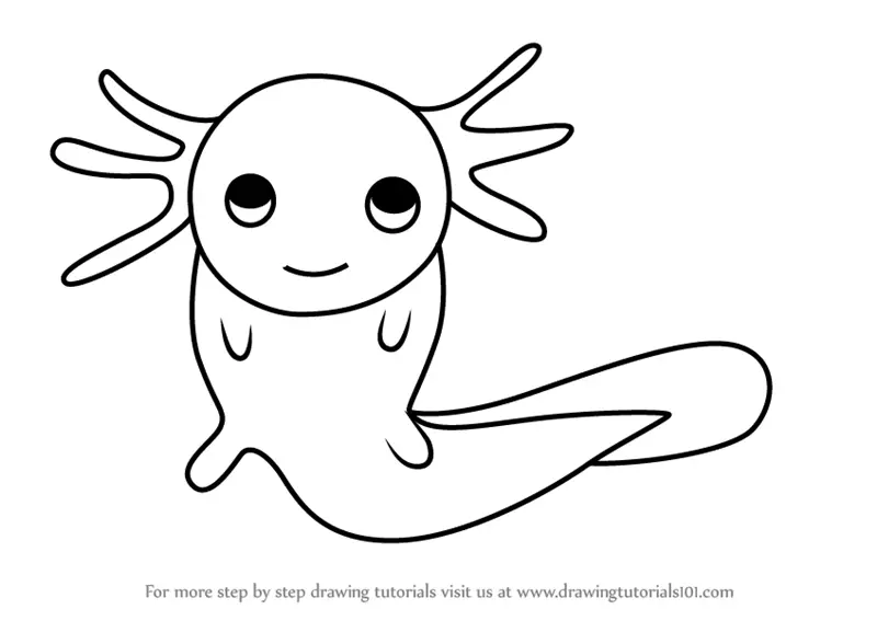 Learn How To Draw An Axolotl For Kids Animals For Kids Step By Step Drawing Tutorials