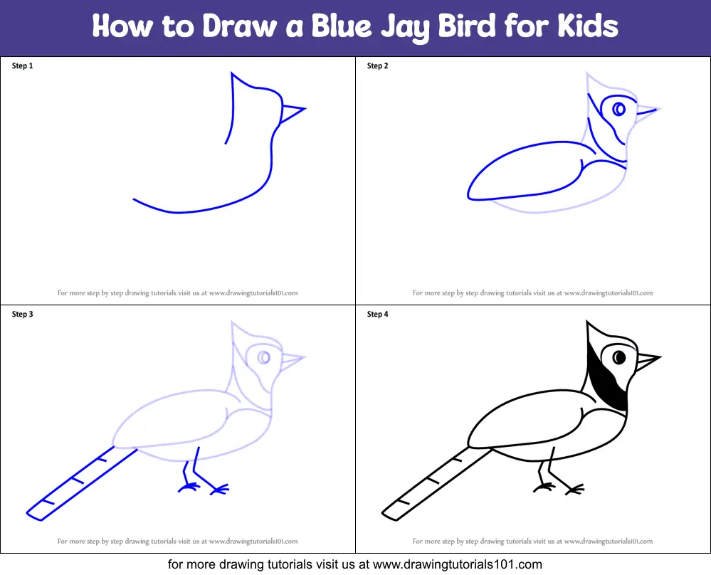 How To Draw A Blue Jay Bird For Kids Printable Step By Step Drawing Sheet Drawingtutorials101 Com