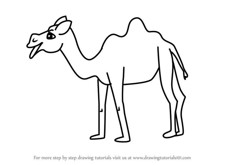 Learn How to Draw a Cartoon Camel (Cartoon Animals) Step by Step : Drawing  Tutorials