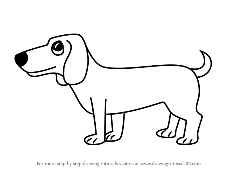 Learn How to Draw a Cartoon Dachshund Dog (Cartoon Animals) Step by Step :  Drawing Tutorials