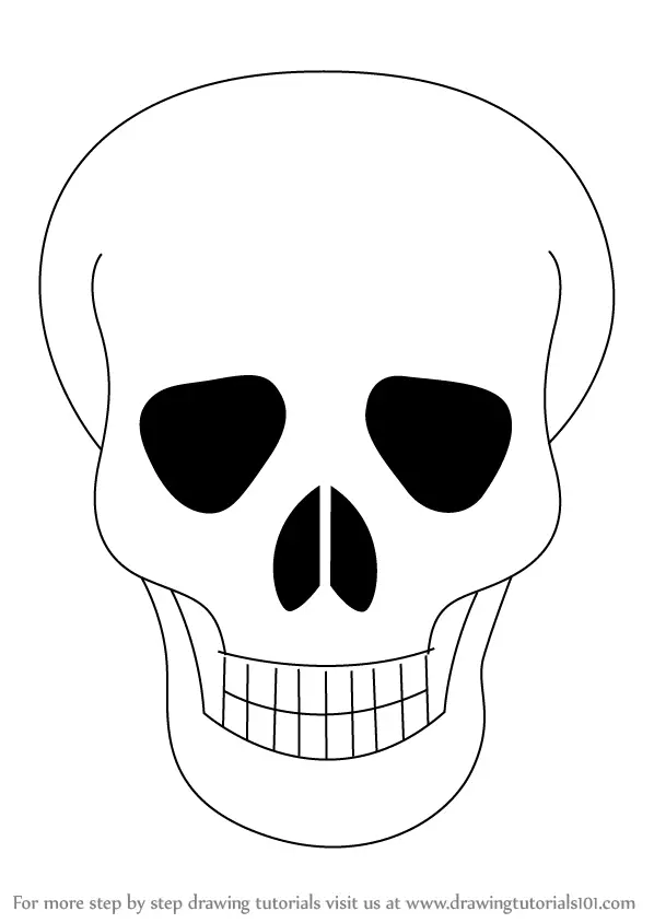 Skull drawing Vectors  Illustrations for Free Download  Freepik