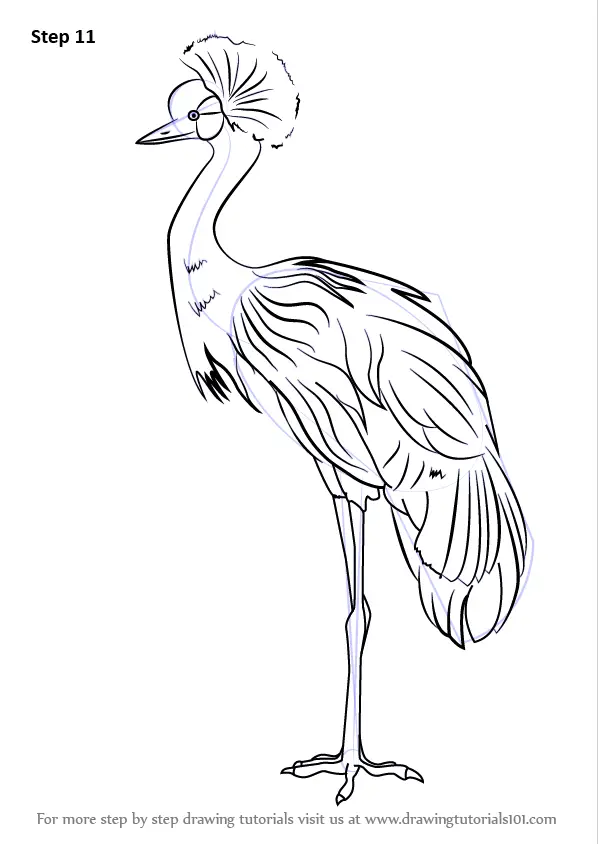 crane drawing on old paper Stock Photo - Alamy