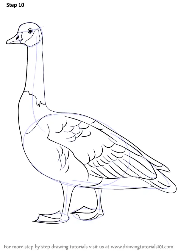 Goose Drawing - How To Draw A Goose Step By Step