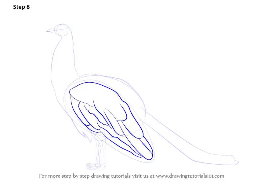 Peacock Drawing / How to Draw Peacock Easy Step By Step / Easy Drawing For  Beginners / Peacock - YouTube