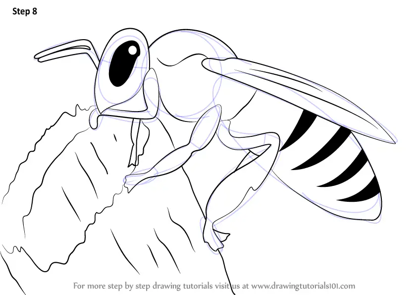 Honey Bee Sketch Posters for Sale | Redbubble-saigonsouth.com.vn