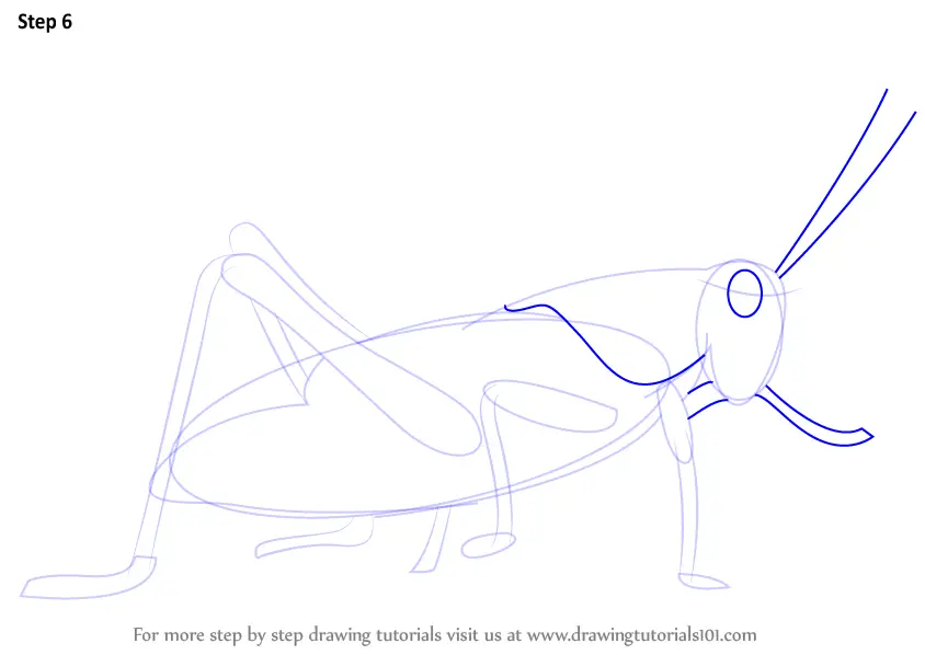 Grasshopper Drawing - Simple Drawing Tutorial for any Beginner | Drawing  tutorial easy, Easy drawings, Drawing tutorial