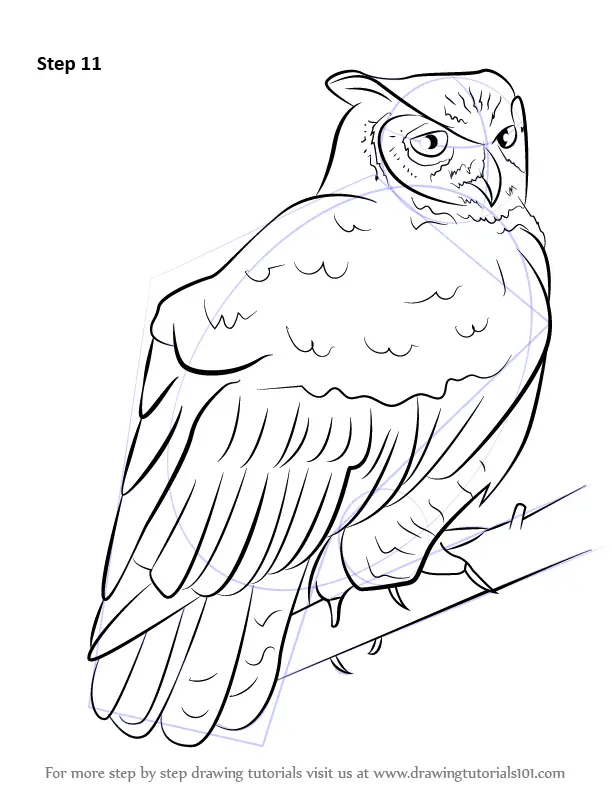 Vector Sketch of Owl Head by Ballpoint Pen Stock Vector - Illustration of  vector, wing: 97791592