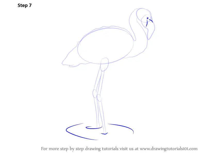 How To Draw A Flamingo, Step by Step, Drawing Guide, by Dawn - DragoArt