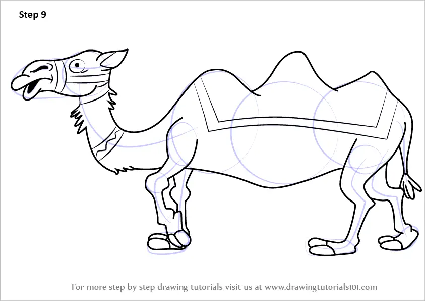 how to draw camel|easy camel drawing for beginners step by step - YouTube