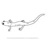 How to Draw a Black Salamander