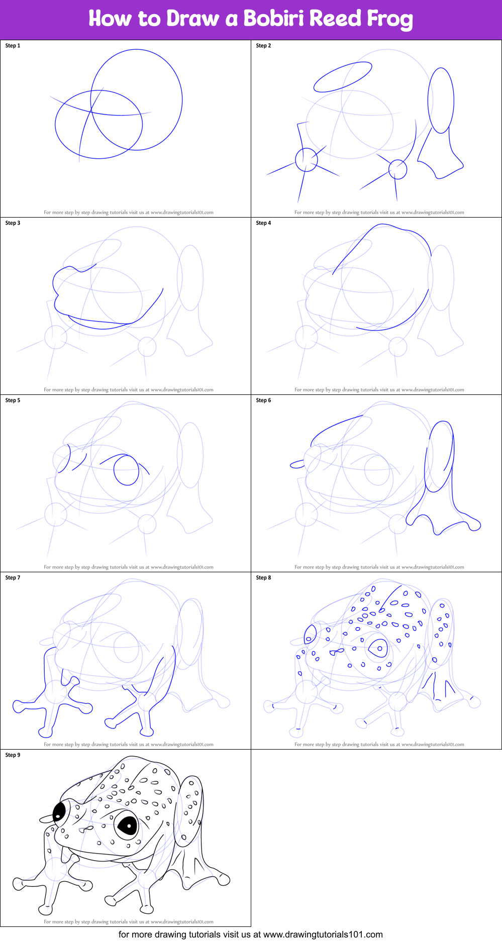 How to Draw a Bobiri Reed Frog Printable Step by Step